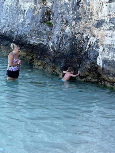 Tanon swimming bermuda